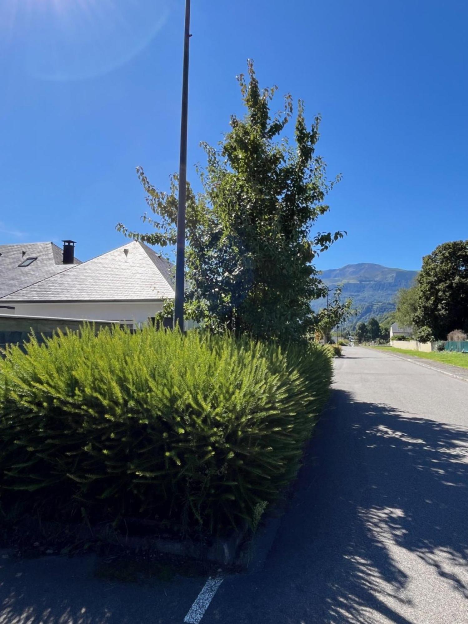 La Maison De Lilette Proche Argeles Gazost Ayzac-Ost Esterno foto