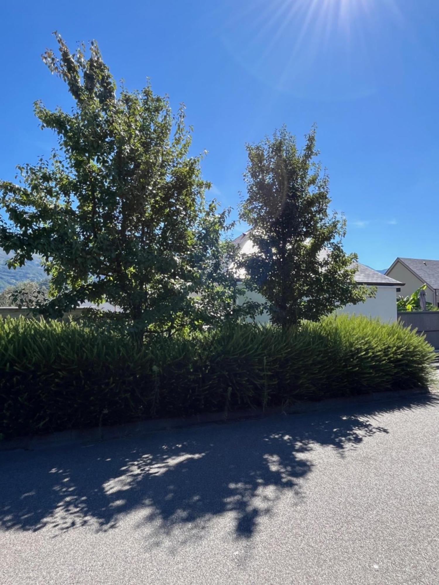 La Maison De Lilette Proche Argeles Gazost Ayzac-Ost Esterno foto
